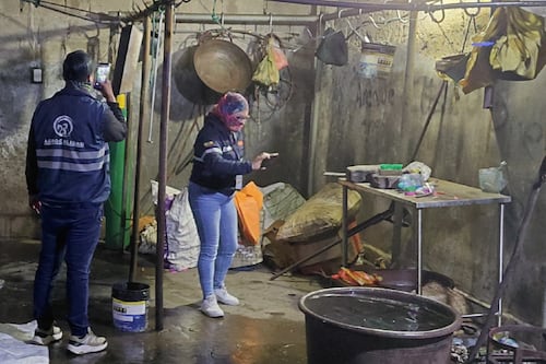 Vísceras en el suelo: AMC clausuró camales clandestinos en Calderón y retiró más de 400 libras de carne