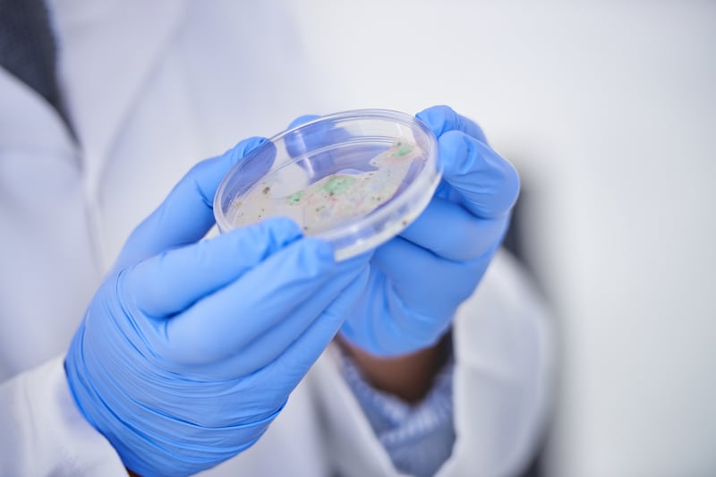 El estudio de la microbiota intestinal ha tenido avances científicos muy importantes