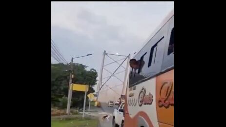 Colapsa puente de Daule.