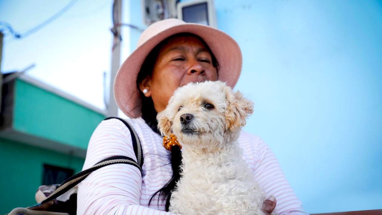 Violencia interrelacionada: Un vínculo oculto entre el maltrato animal y la violencia de género