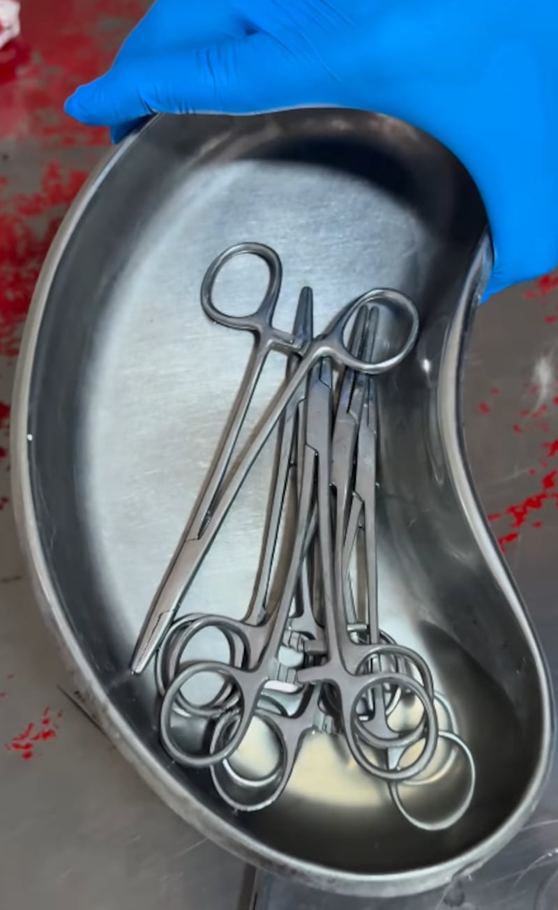 Clausuran clínica veterinaria clandestina en Guayaquil: utilizaban hilo de pescar para esterilizaciones  - Fuente: Municipio de Quito