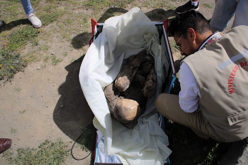Fotografía cedida por el Ministerio de Cultura, que muestra una momia prehispánica.