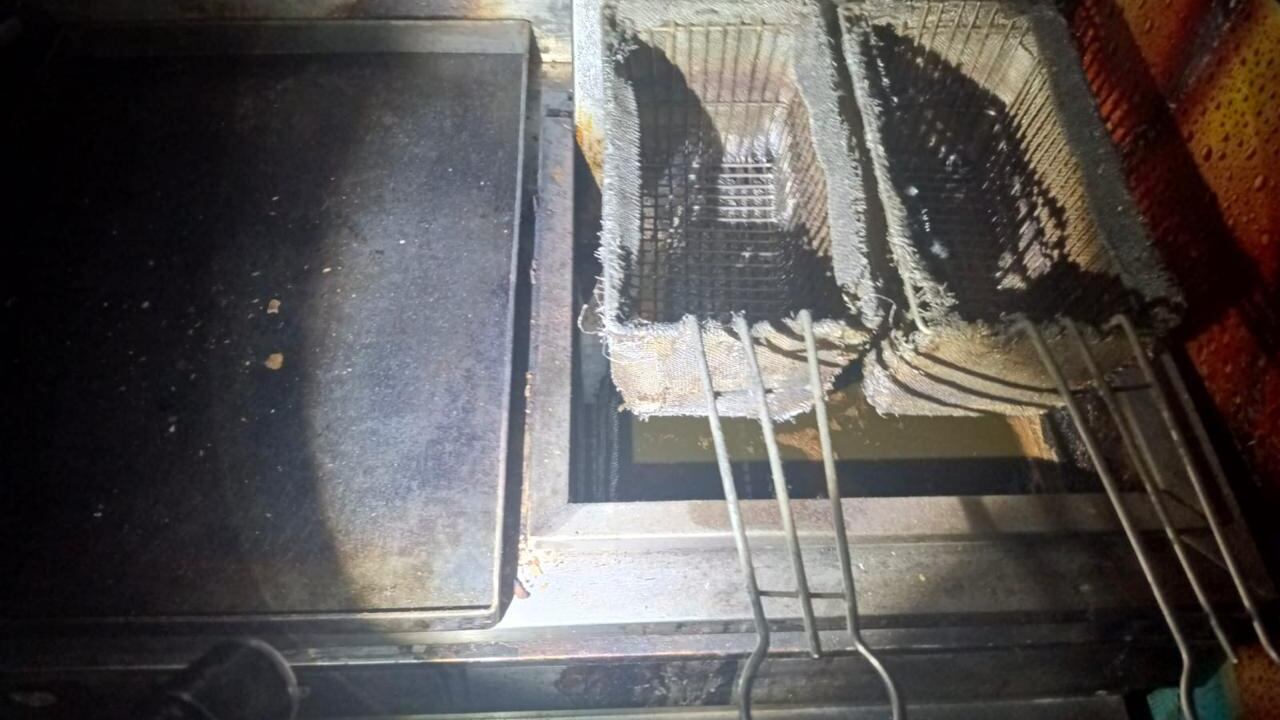 Hallan nidos de cucarachas en la comida tras inspección en locales fuera de la Universidad Central