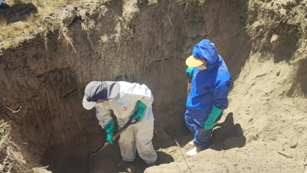 Fiscalía exhuma en Ambato más de 70 cadáveres sin identificar