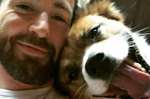 Chris Evans comparte fotos con su mascota y demuestra que tiene una personalidad bondadosa