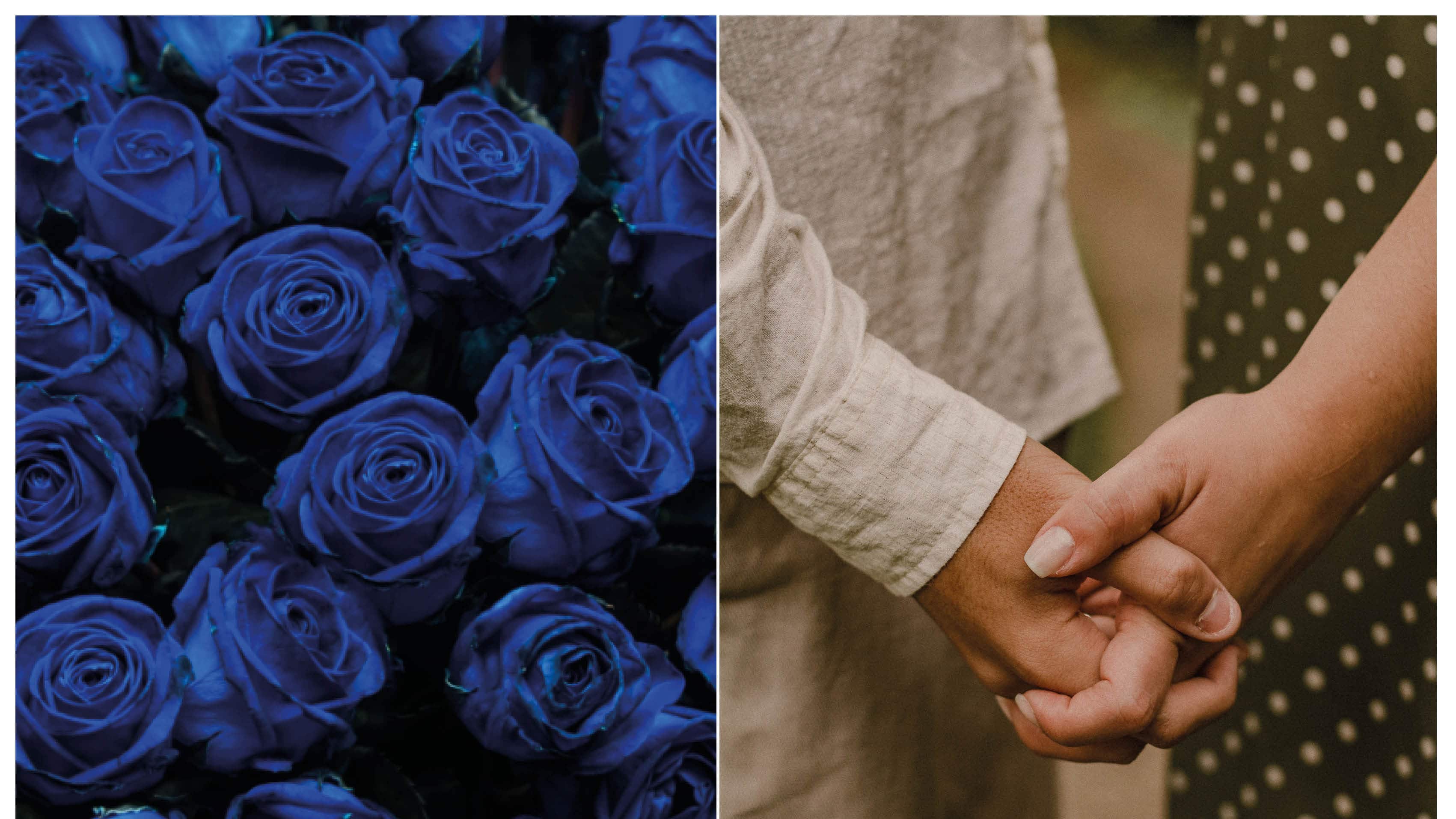 Conoce la razón por la que se regala flores azules el 3 de octubre.