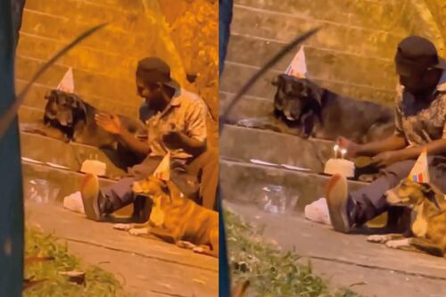 Una persona que vive en situación de calle celebra el cumpleaños de su perrito