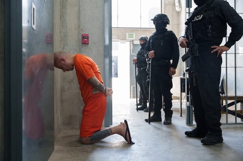 La razón por la que ‘Lobo Menor’ estaba en México y su plan para escapar de la justicia