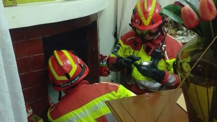 Así fue el rescate de cuatro gatitos atrapados en una chimenea en Pifo - @BomberosQuito