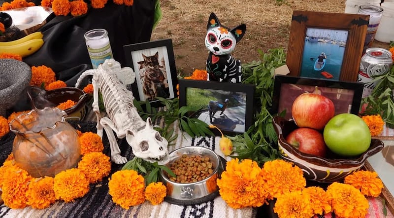 Altar para las mascotas