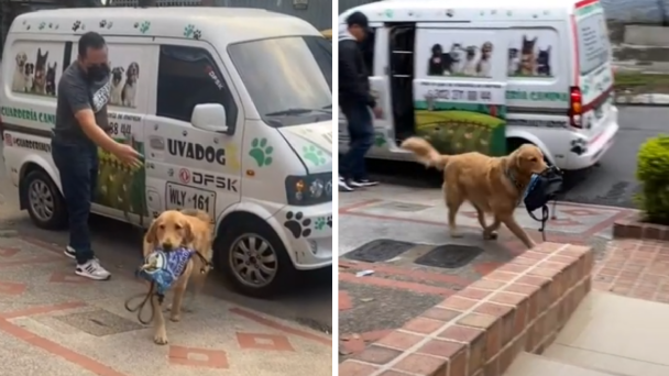 Este video enterneció a todos en redes sociales