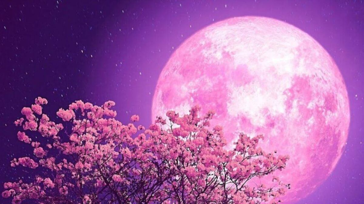Preparados para recibir las energías de la Luna Rosa con el poderoso ritual para atraer la prosperidad