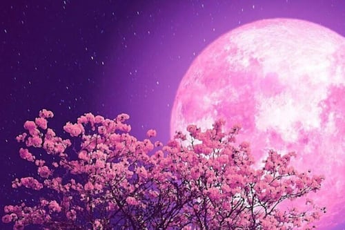 Preparados para recibir las energías de la Luna Rosa con el poderoso ritual para atraer la prosperidad