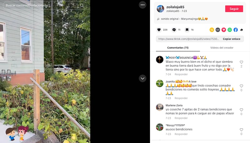 Familia ecuatoriana siembra papas en su jardín en Estados Unidos y genera debate en redes sociales
