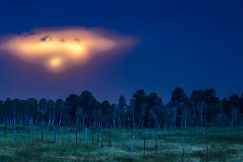 “Viajero del tiempo” hace sorprendente predicción para el 17 de diciembre que aterrorizó a las redes