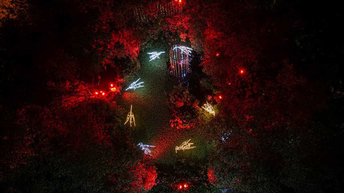 El Jardín Botánico de Quito se ilumina con el “Bosque de Luz”