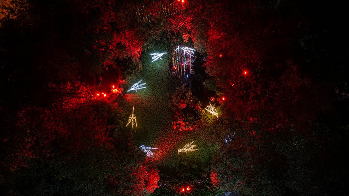 El Jardín Botánico de Quito se ilumina con el “Bosque de Luz”