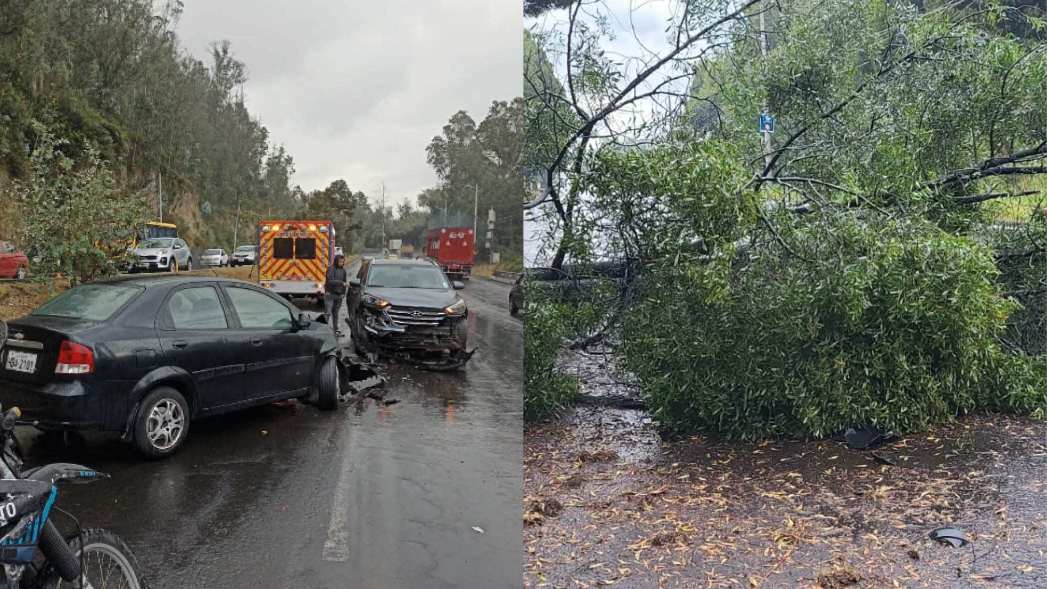 Múltiples accidentes y un árbol caído se reporta en Quito, esto han indicado las autoridades