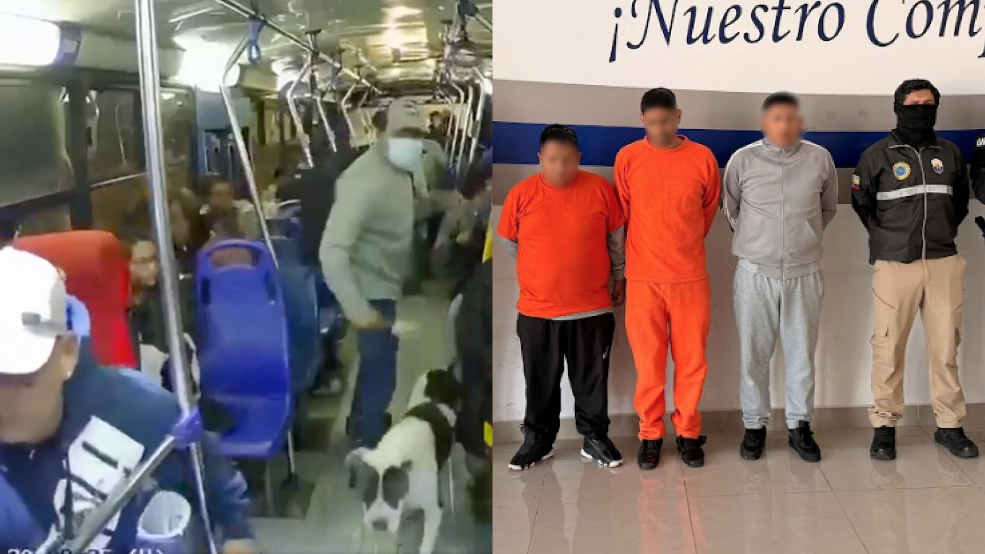 Usaban un pitbull para asaltar buses en Quito: cae fracción de “Los Lobos” que causaba zozobra en la Av. Simón Bolívar