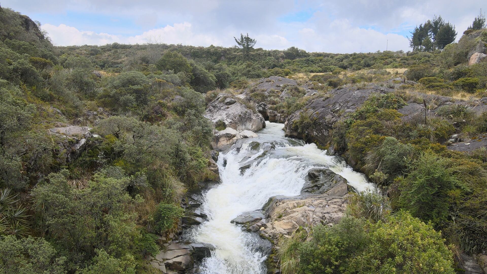 El páramo, la fuente principal de agua en Quito