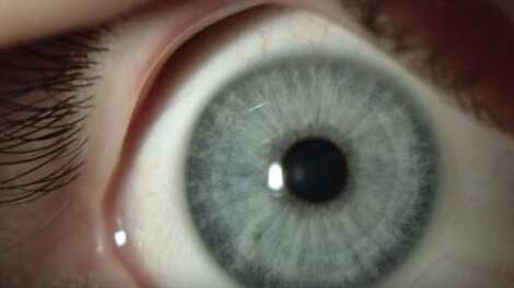 Temblores del ojo/Internet