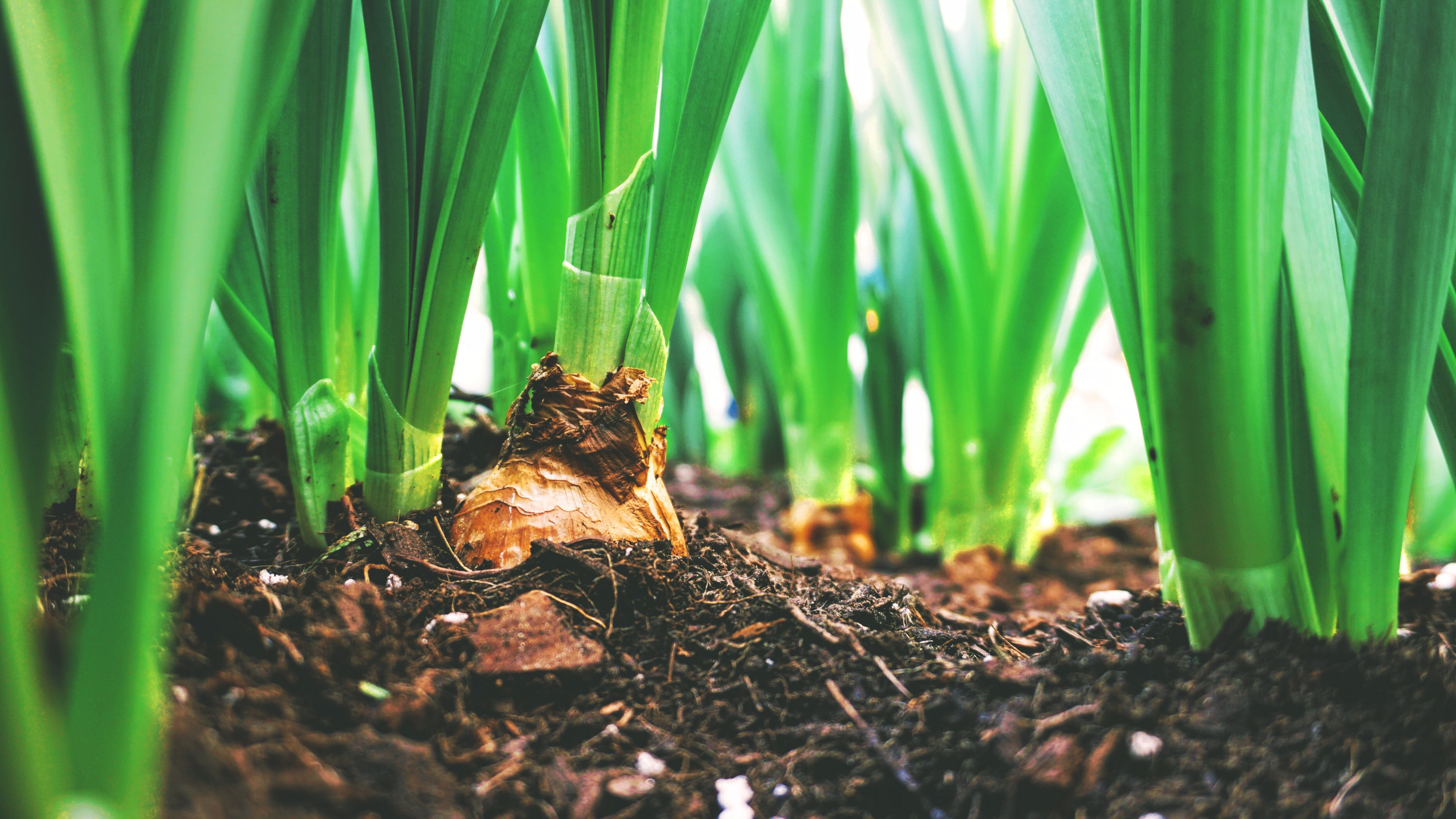 Misión Social Rumiñahui entregará reconocimientos en evento “Siembra y Cosecha”