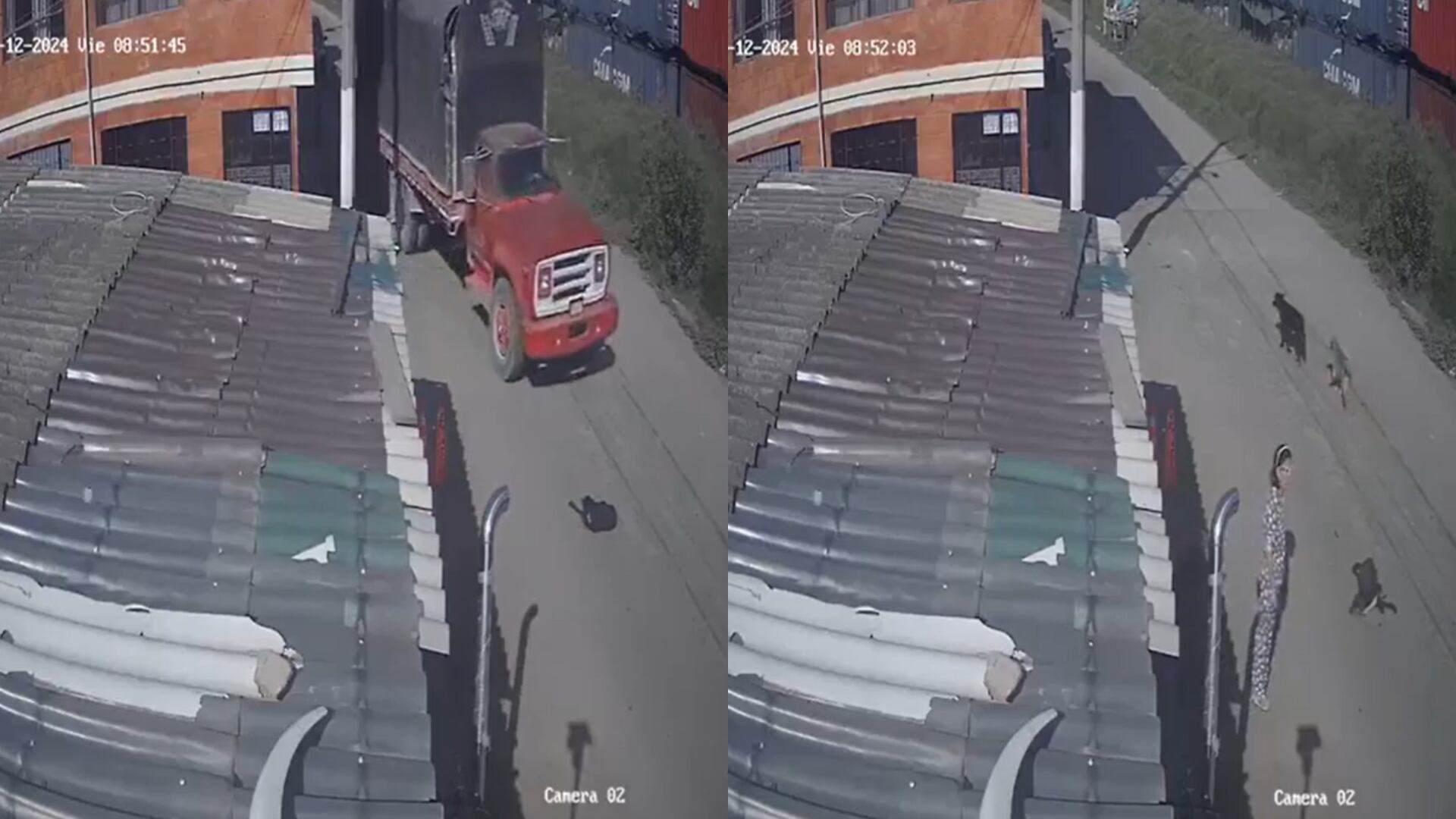 En el municipio de Mosquera, un camión le pasó por encima a un perro, causando indignación en la ciudadanía