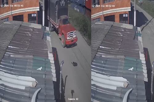 Video: indignación por un conductor que le pasa por encima a un perro con su camión