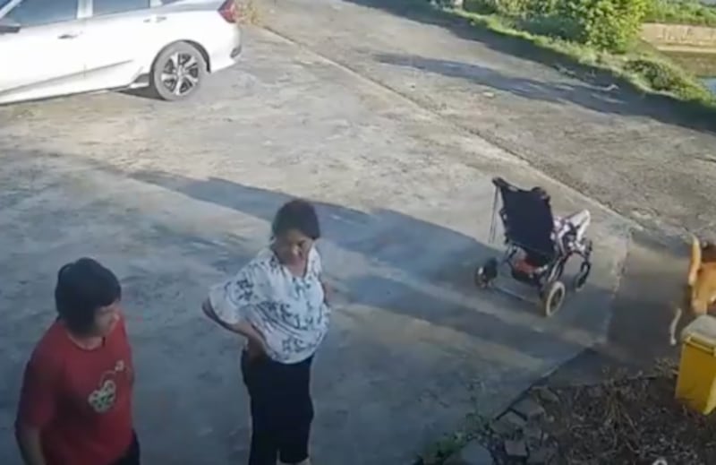 Bebé cae a un estanque mientras su abuela platicaba: rescate milagroso en China