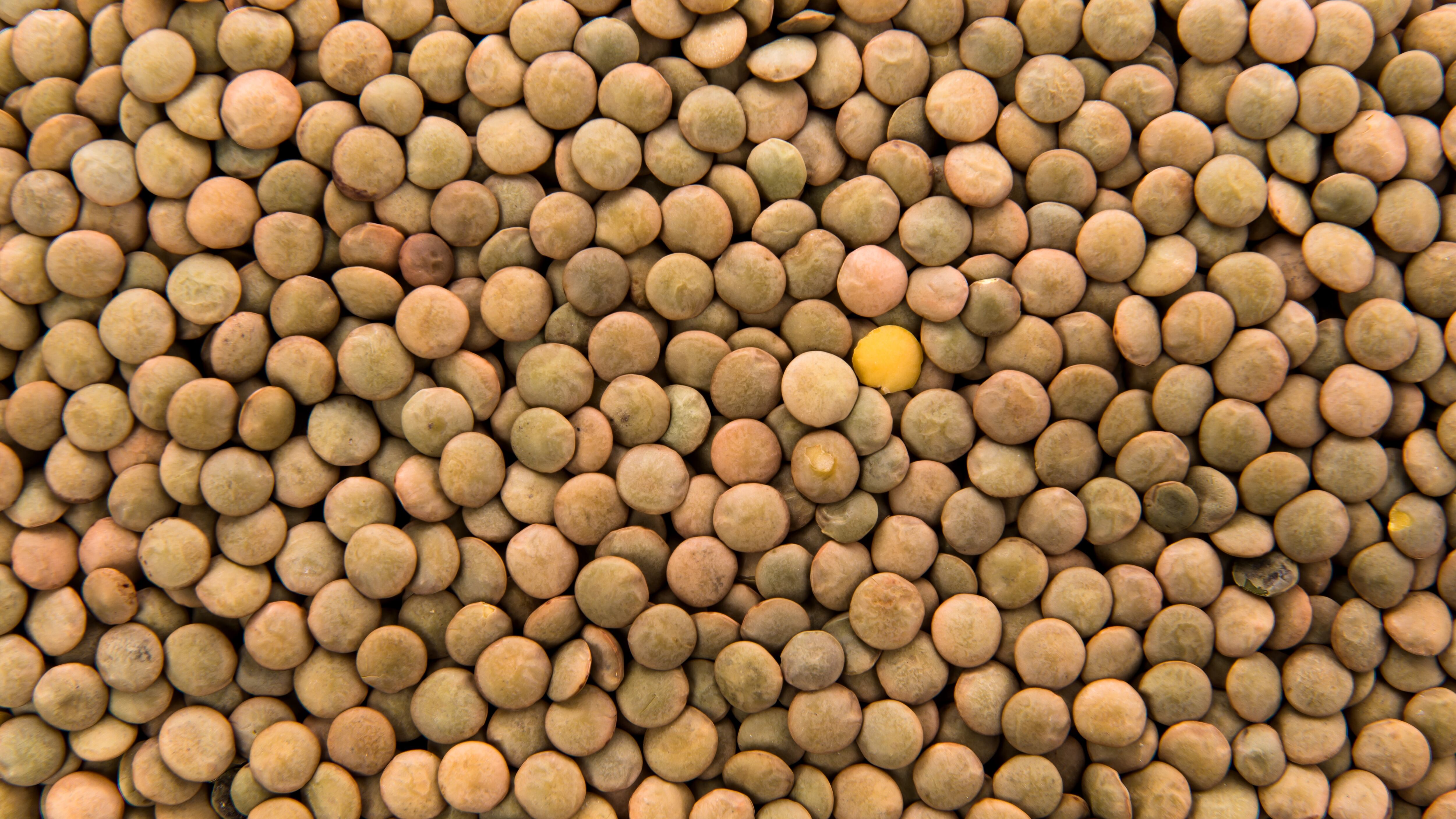 Las lentejas contribuyen a reducir el colesterol, favorecer el aumento de masa muscular, fortalecer el sistema inmunológico y prevenir la anemia. Foto: Freepik.