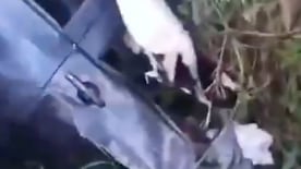 Tragedia en Bolívar: cuatro personas fallecieron tras la caída de una camioneta al barranco - Fuente: Video de X