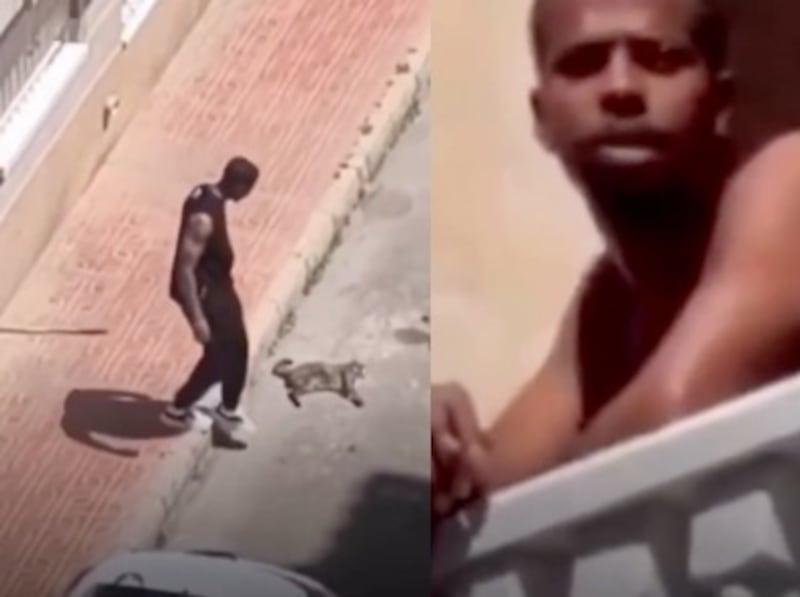 maltrato animal España