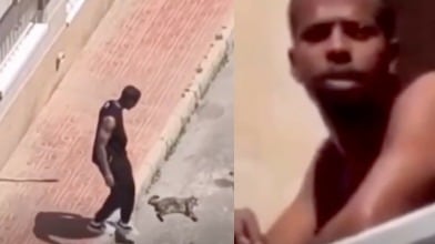 maltrato animal España