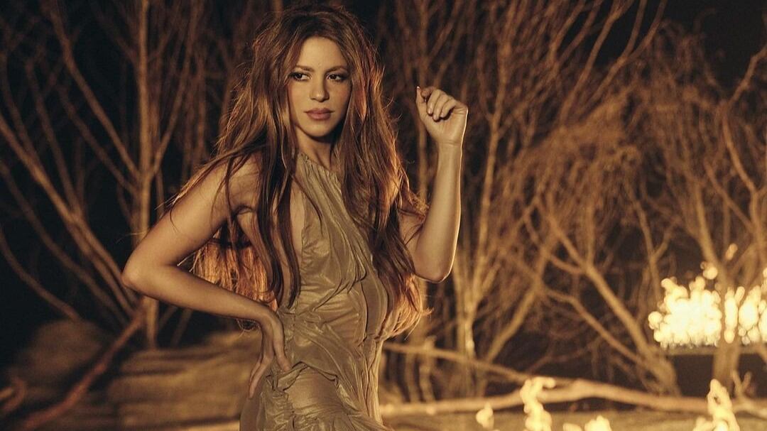 En el adelanto de lo que era la entrevista de Shakira ella pronunció una frase que pocos entendieron que se trataba de una cita.