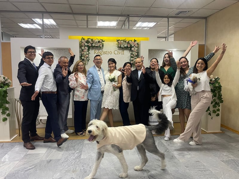 Registro Civil mascotas en Ecuador