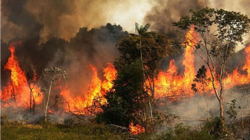 15 personas han muerto en los incendios forestales en la Amazonía del Perú