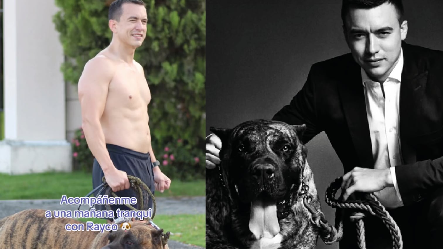 Rayco, mascota de Daniel Noboa