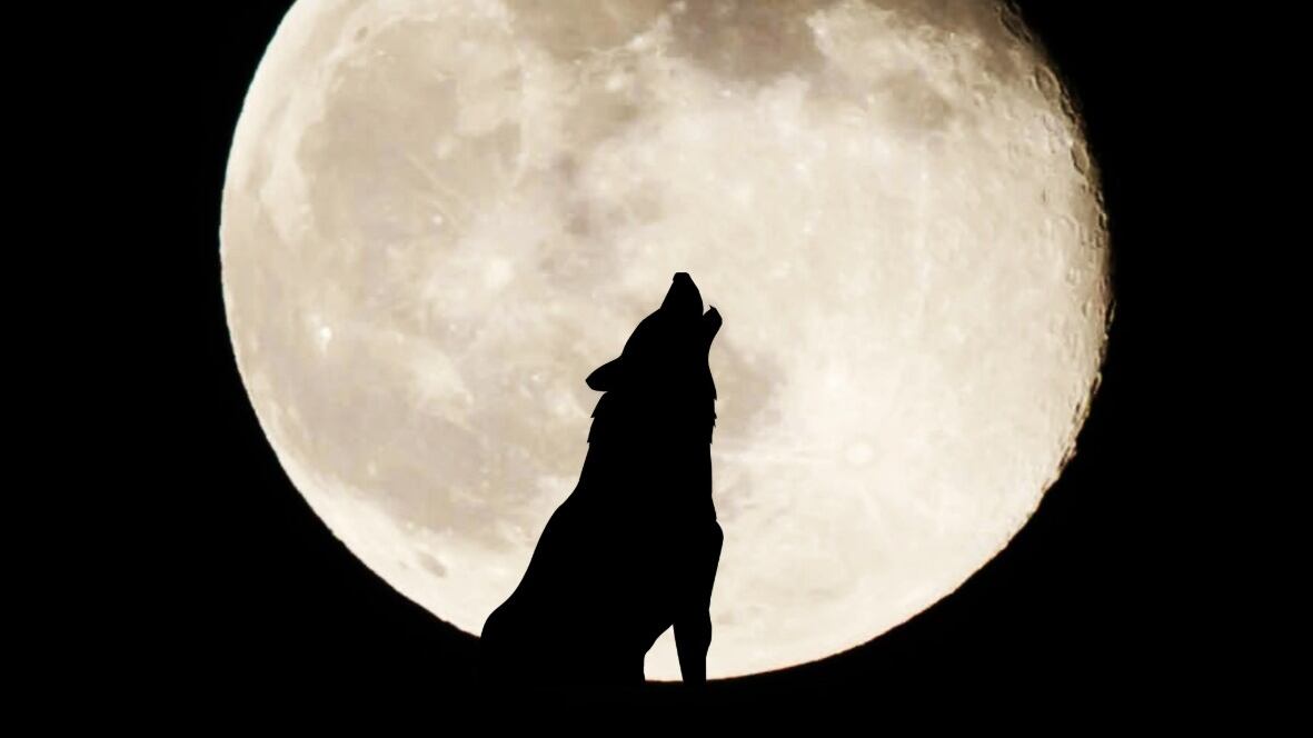 Observatorio Astronómico