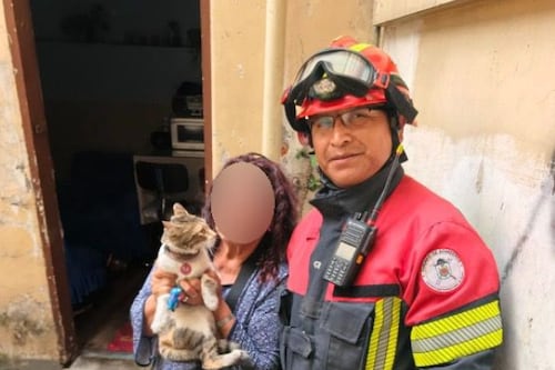 Bomberos rescataron a un gatito que quedó atrapado en una habitación de difícil acceso en Quito
