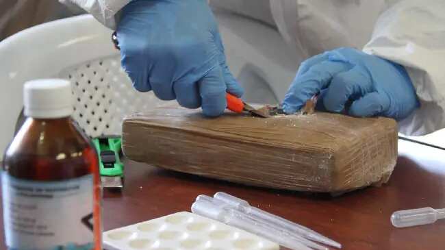 ¡Al estilo Alerta Aeropuerto! Llevaba 69 kilos de cocaína en las maletas y pretendía viajar a Alemania