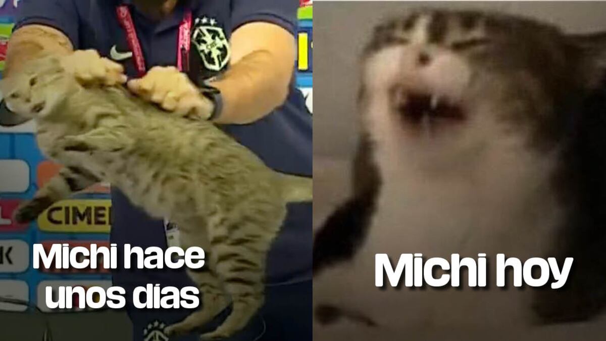 El Michi se viraliza