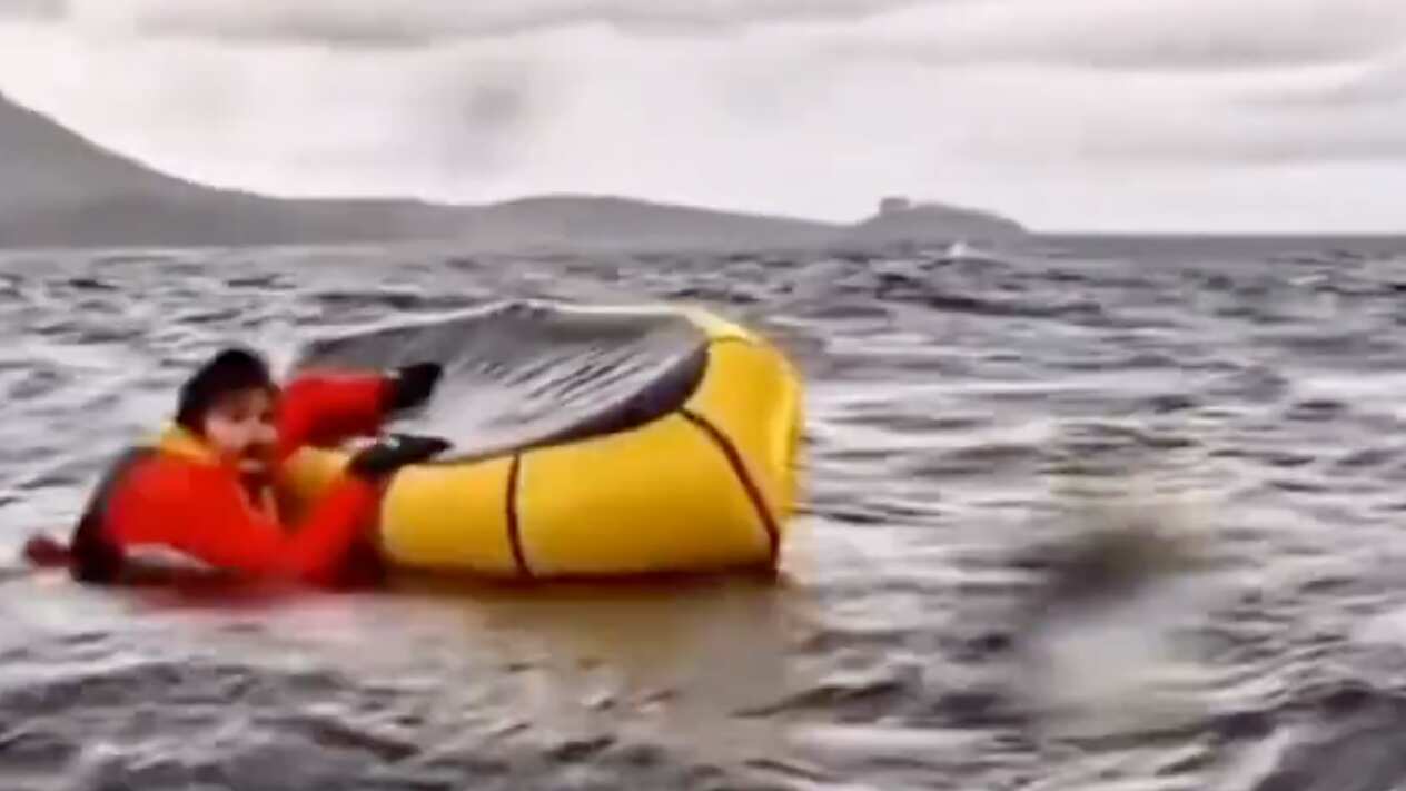 VIDEO: Ballena se tragó a un hombre en Chile