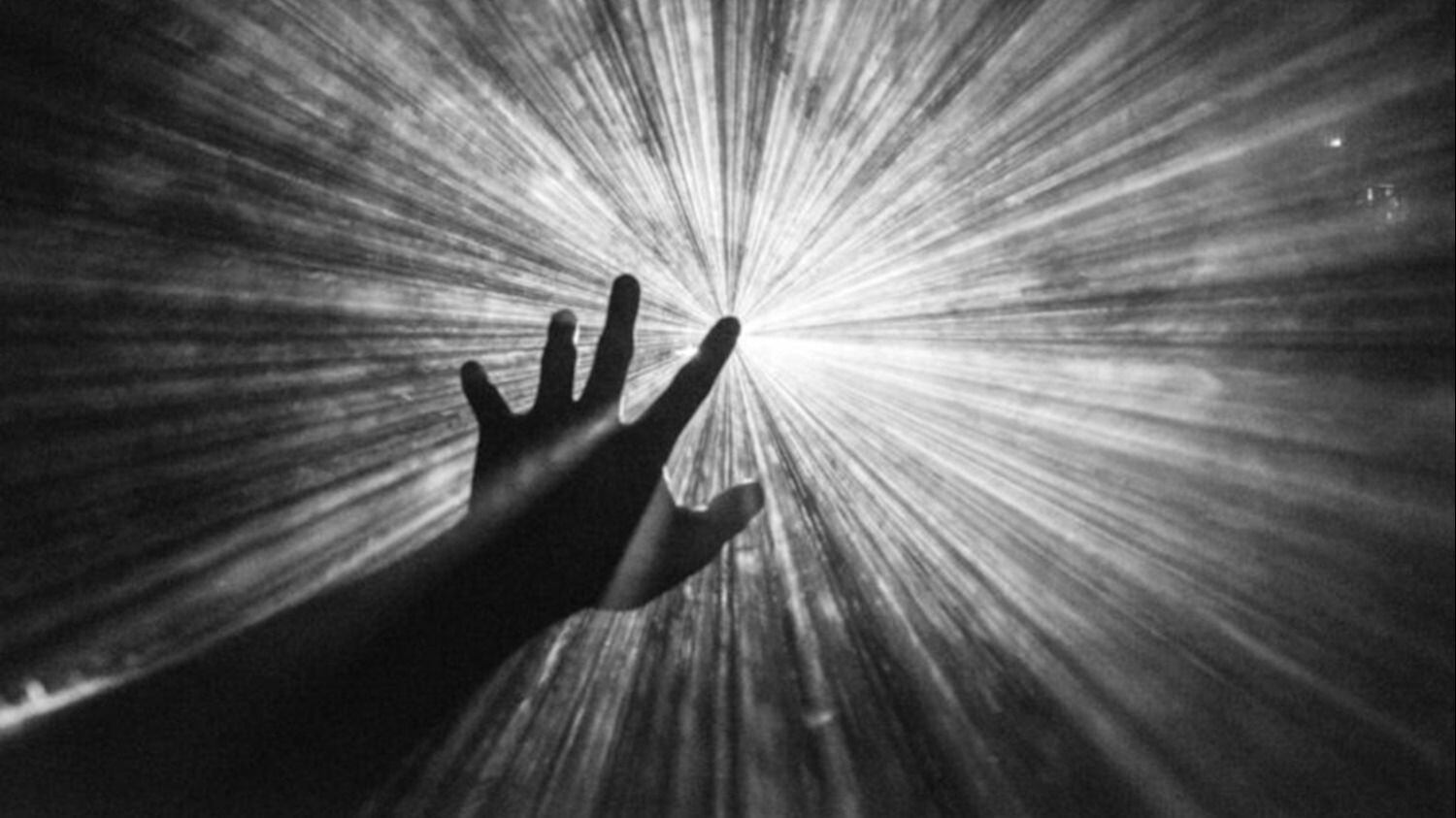 Los sentidos antes de morir