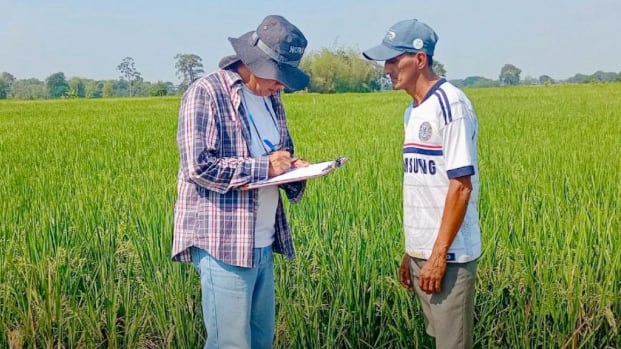 Gobierno de Ecuador compra de arroz