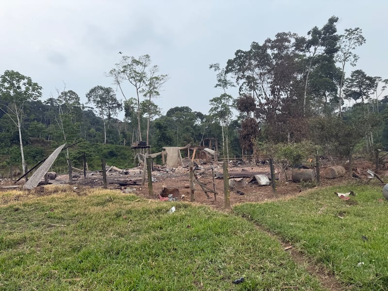 Campamento narco con capacidad para 50 integrantes fue destruido en Sucumbíos
