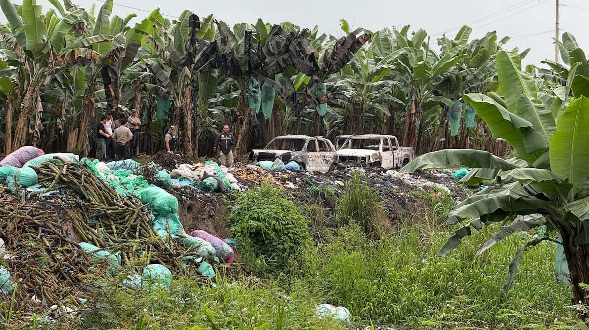 Hallaron cuatro cuerpos torturados, decapitados y calcinados en fincas de banano en Machala