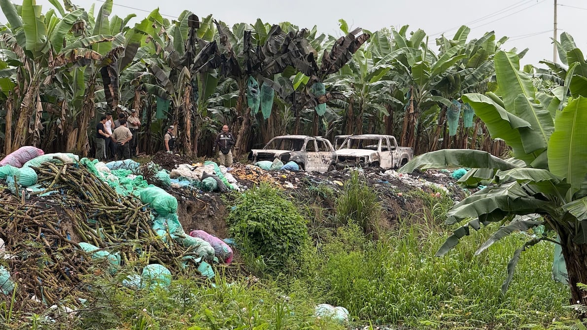 Hallaron cuatro cuerpos torturados, decapitados y calcinados en fincas de banano en Machala