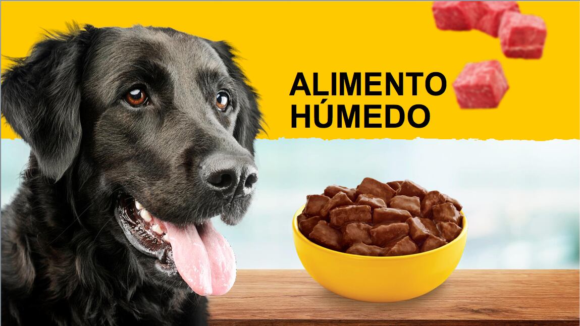 comida húmeda para perros.