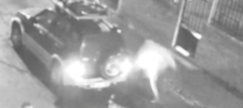 Atropelló a un perro y lo golpearon hasta causarle la muerte