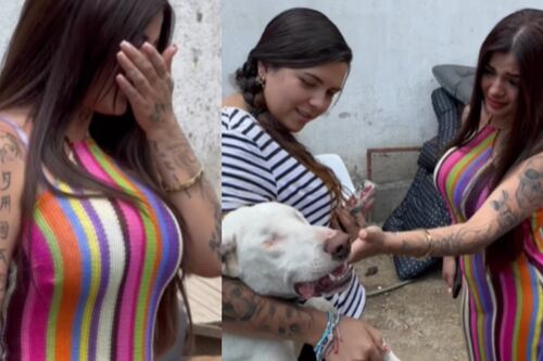 Karely Ruiz llora en refugio de perros: “Seguiré facturando en ropa interior”